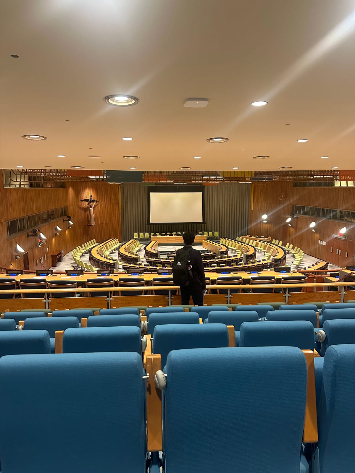 A DTC member inside the United Nations General Assembly Hall in New York